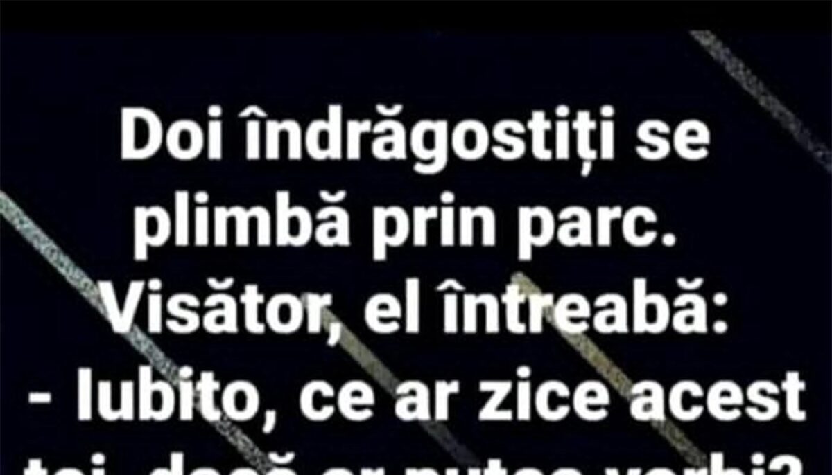 Imagine Stire BANC | Doi îndrăgostiți se plimbă prin parc | 2review.ro