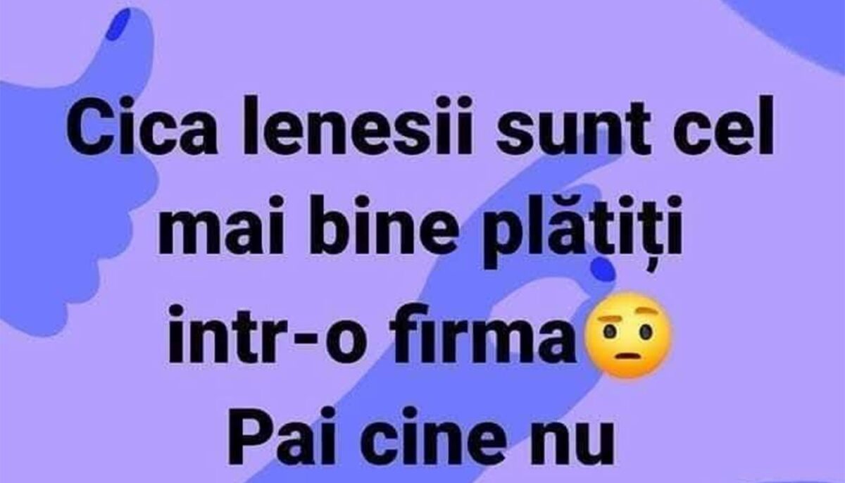 Imagine Stire BANC | De ce sunt leneșii cel mai bine plătiți într-o firmă | 2review.ro