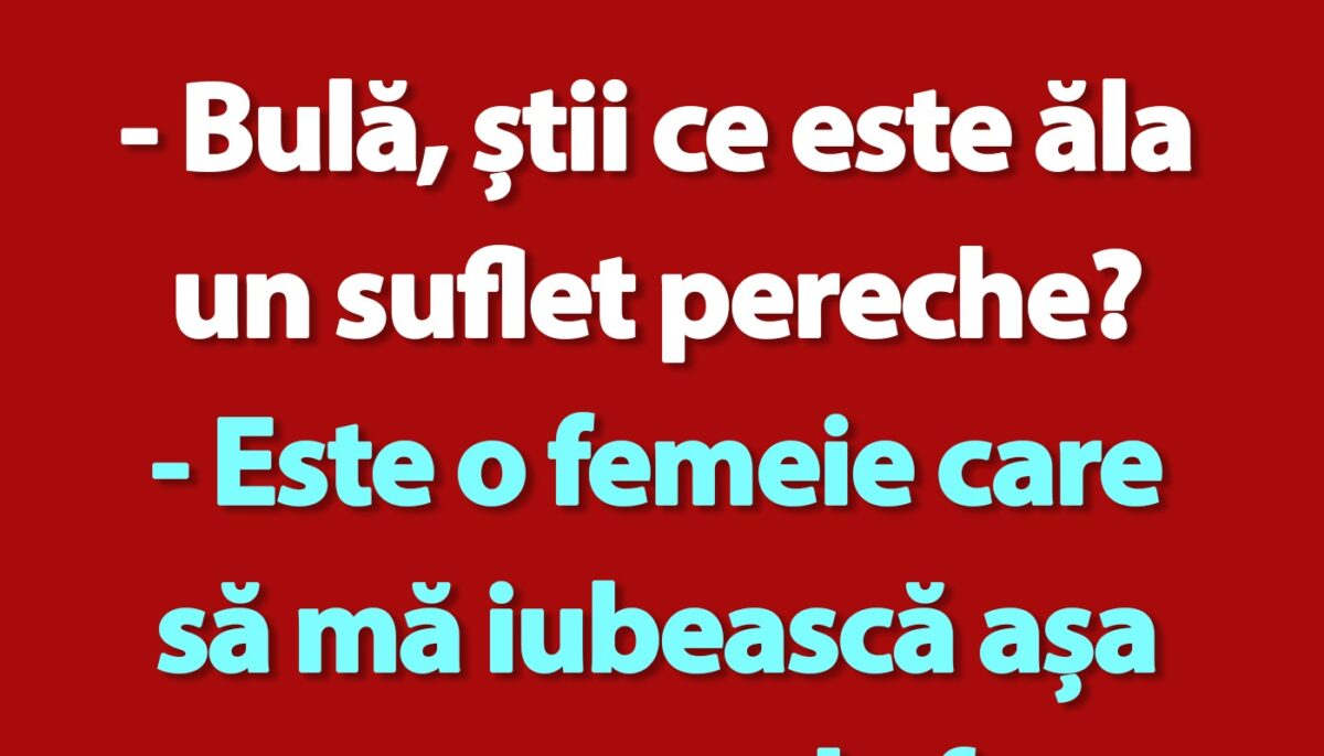 Imagine Stire BANC | Bulă și sufletul-pereche | 2review.ro