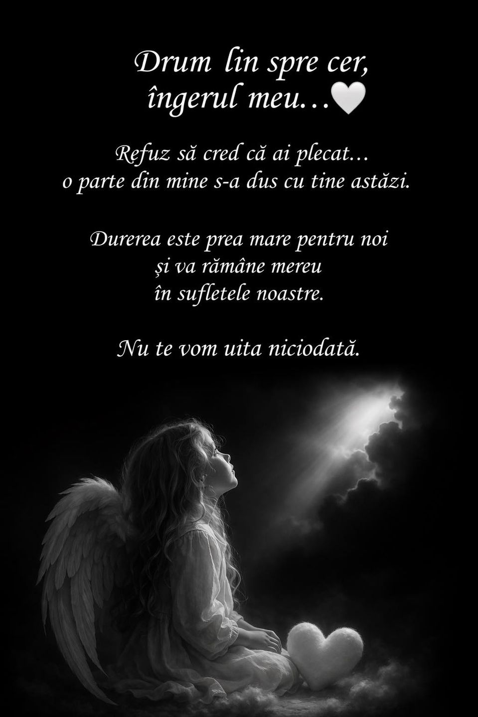 Ce mesaje au transmis familia și prietenii Crinei, fata care a căzut de la etajul 5/ Sursa foto: social media