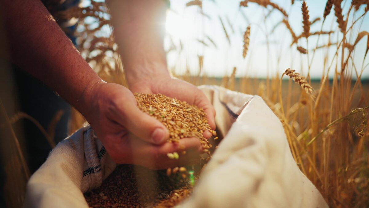 Imagine Stire Singura țară din lume care își poate asigura integral hrana necesară din producție proprie. Care este situația României? | 2review.ro