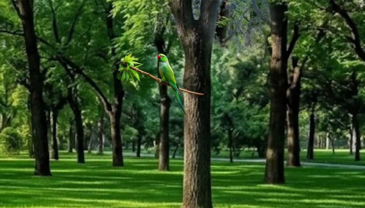 Imagine Stire Iluzie optică virală | Găsiți bufnița ascunsă în pădure! | 2review.ro