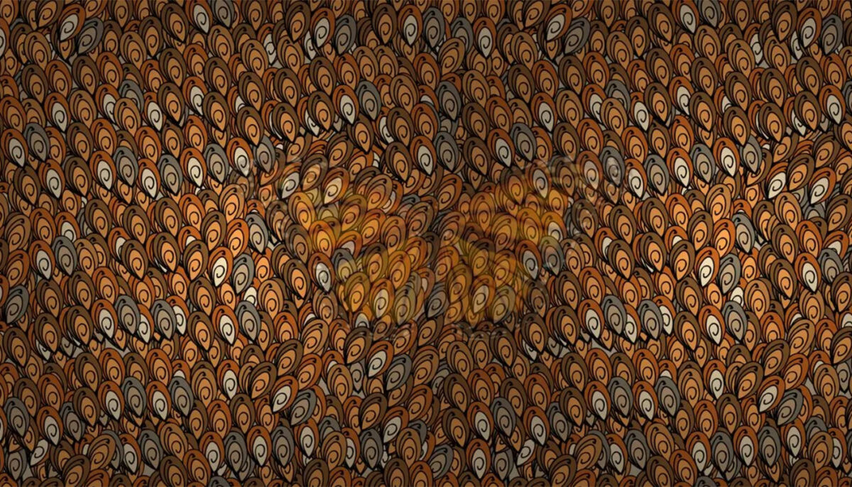 Imagine Stire Iluzie optică virală | Ce vietate se ascunde în această fotografie? | 2review.ro