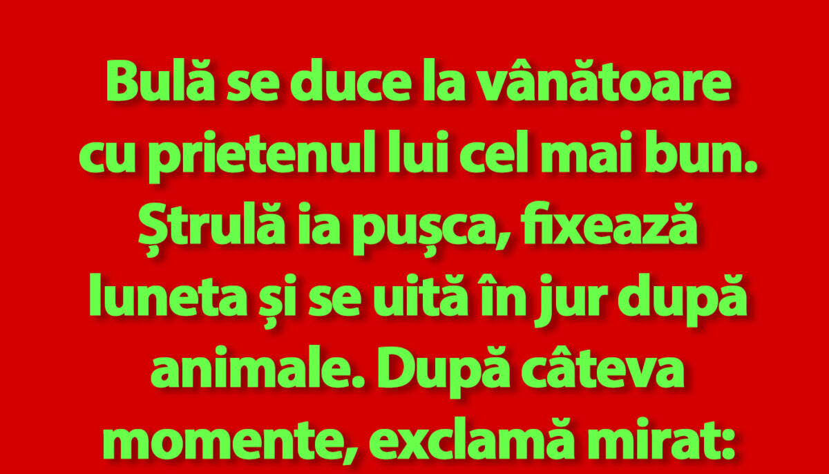 Imagine Stire BANC | Bulă și Ștrulă se duc la vânătoare | 2review.ro