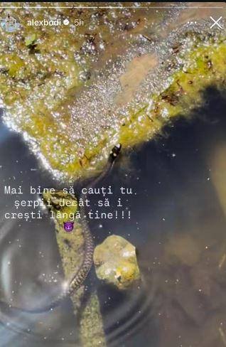 Mesajul publicat de Alex Bodi