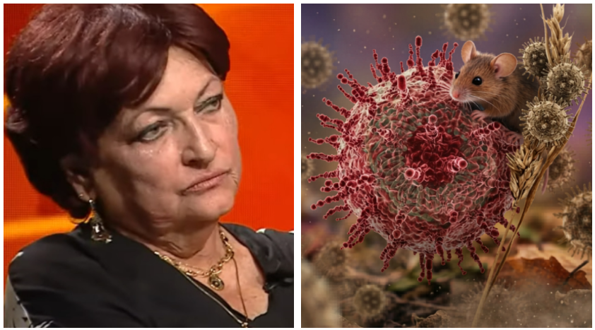 Imagine Stire Cât de periculos e Hantavirusul, de fapt. Monica Pop rupe tăcerea: ”Să nu vă bazați pe niciun fel de comunicări decât de la medici specialiști” | 2review.ro