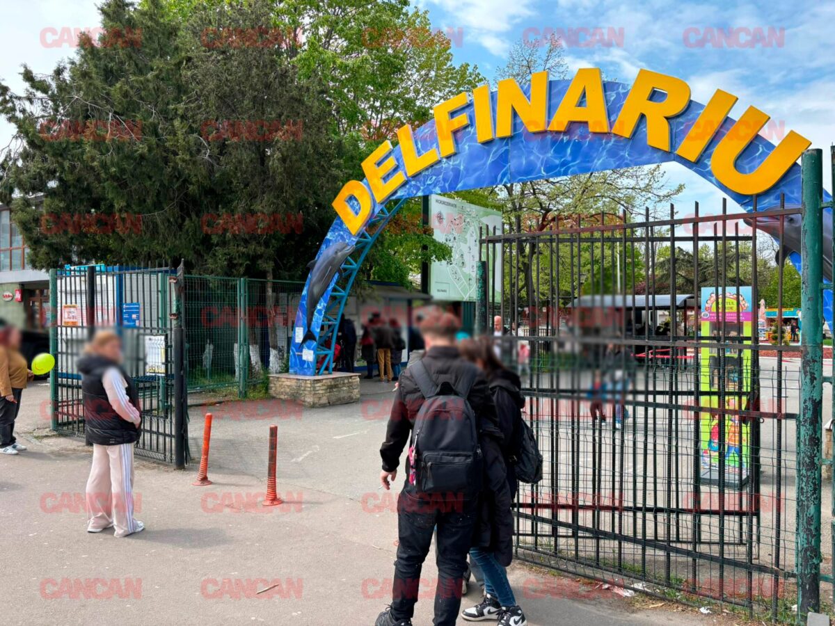 Imagine Stire Cât costă un bilet la Delfinariu din Mamaia? Un adult trebuie să plătească aproape 75 de lei pentru a lua parte la o demonstrație | 2review.ro