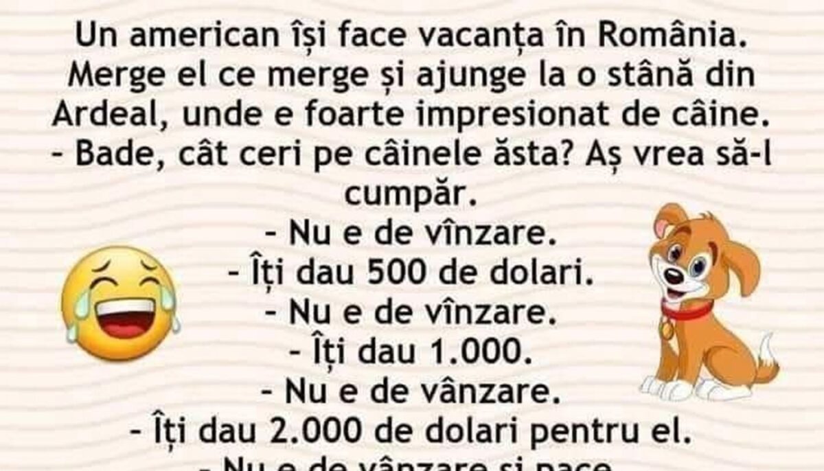 Imagine Stire BANCUL ZILEI | Americanul și vacanța în România | 2review.ro