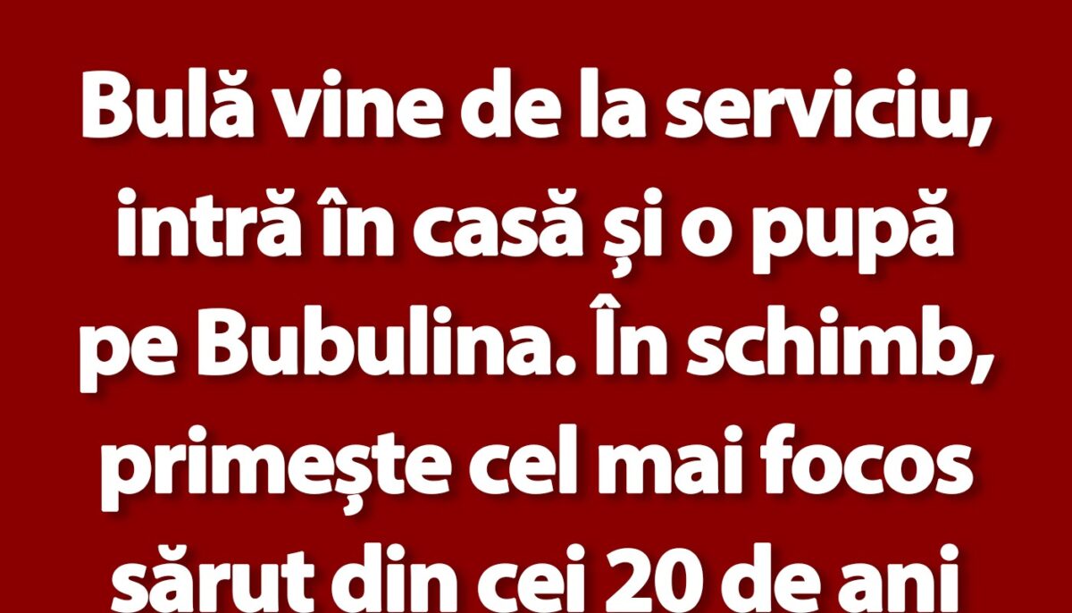 Imagine Stire BANC | Bulă vine de la serviciu, intră în casă și o pupă pe Bubulina | 2review.ro