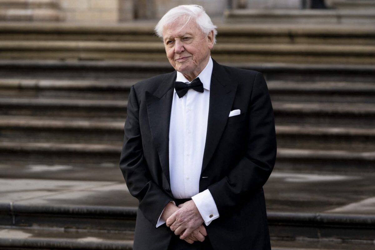 Imagine Stire Ce dietă are David Attenborough, legendarul jurnalist britanic. Tocmai a împlinit 100 de ani | 2review.ro