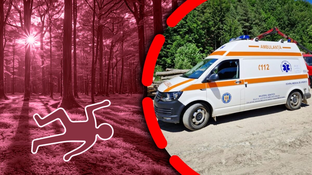 Imagine Stire Sfârșit tragic pentru un muncitor forestier din Vrancea! A fost găsit fără viață după un accident cumplit | 2review.ro