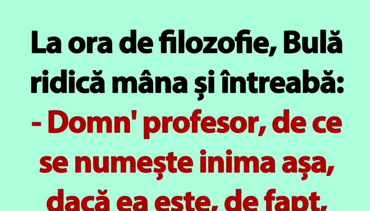 Imagine Stire BANC | La ora de filozofie, Bulă ridică mâna și întreabă | 2review.ro