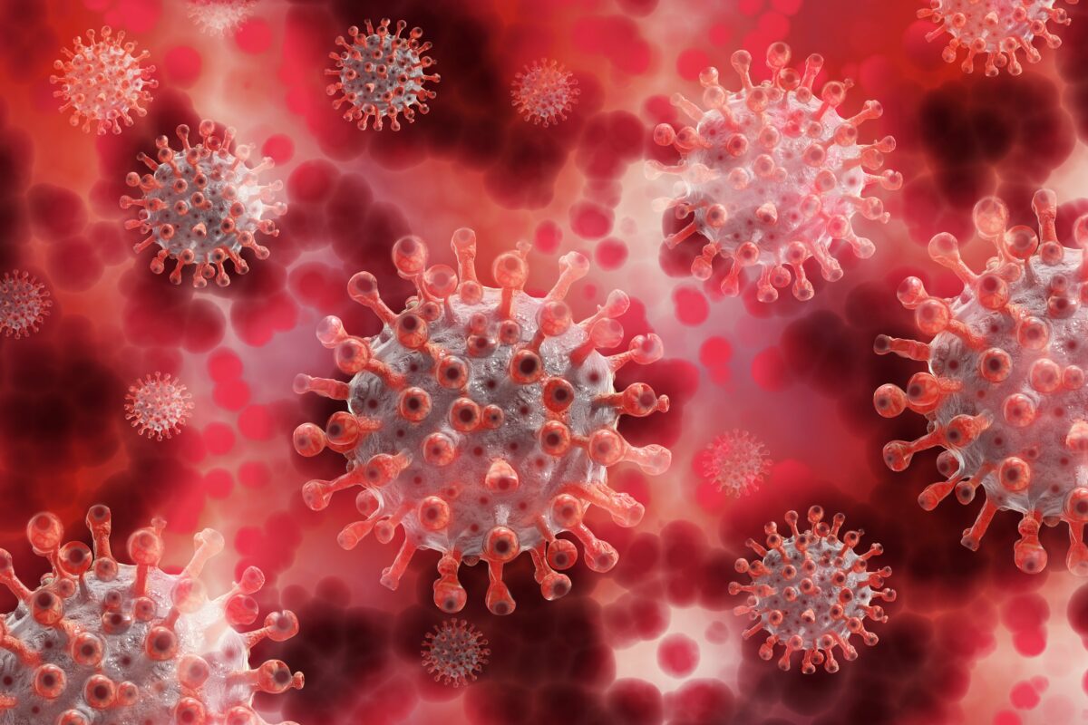 Imagine Stire Cum se transmite și ce simptome provoacă Hantavirus, care s-a răspândit pe o crozieră în Atlantic | 2review.ro