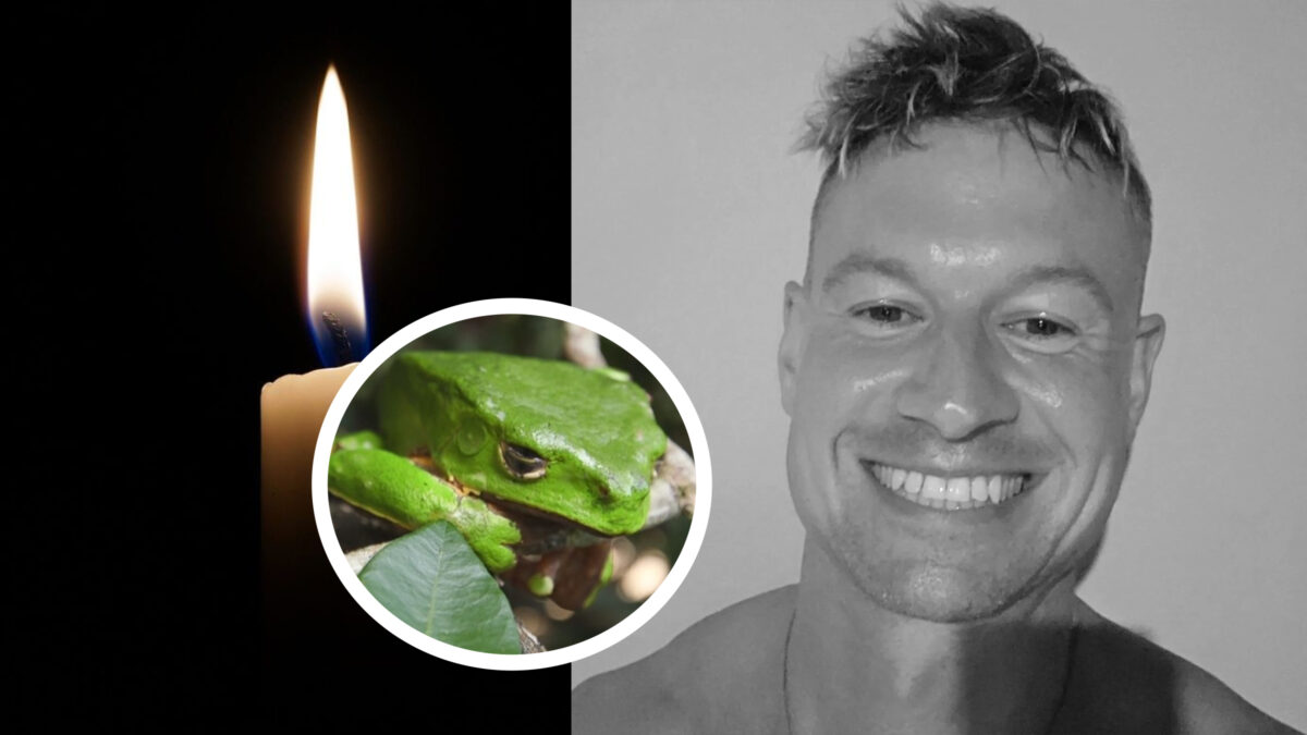 Imagine Stire Un wellness coach a murit după ritualul cu venin de broască: politicienii îi cer lui Starmer să intervină | 2review.ro