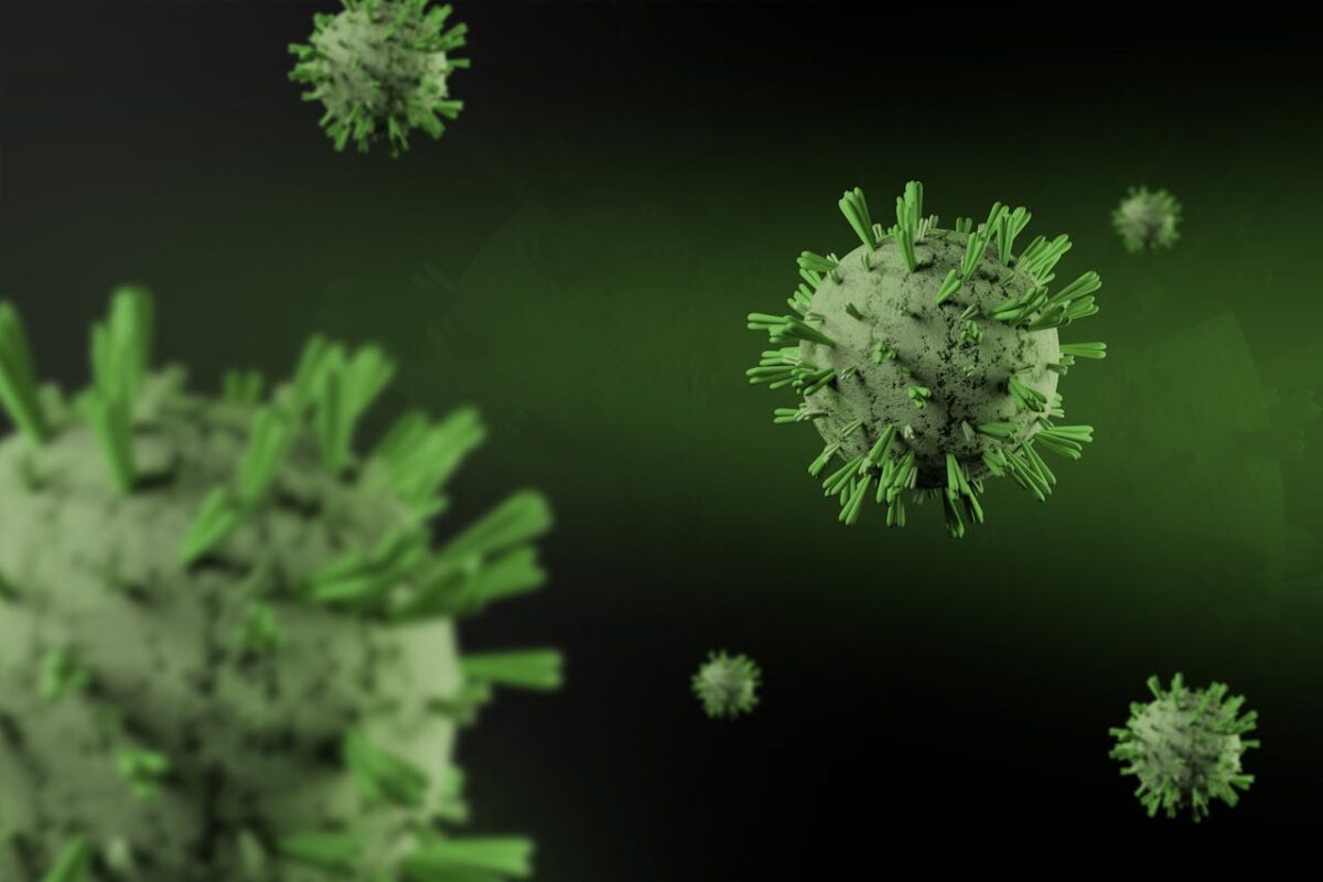 Imagine Stire Ce amendă a primit Spitalul din Ștei, unde s-a descoperit primul caz de hantavirus. Normele sanitare nu au fost respectate | 2review.ro