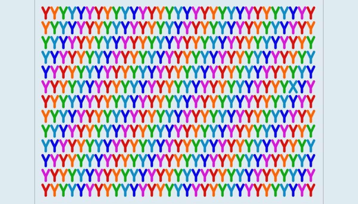 TEST IQ | Identificați „X”-ul din această imagine!