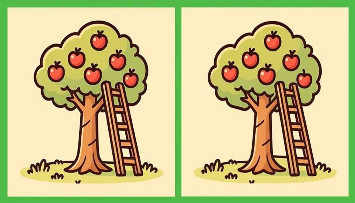 Test de inteligență | Acești doi meri par identici, dar nu sunt. Găsiți cele 3 diferențe!
