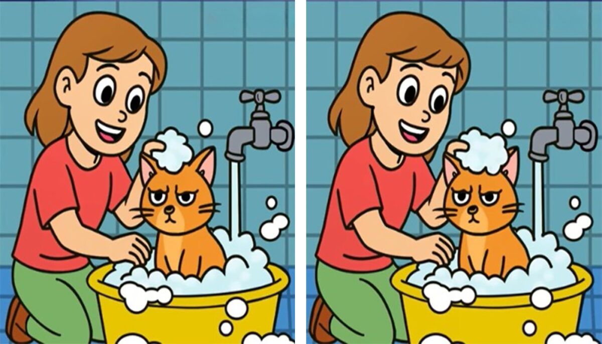 TEST IQ | Aceste două imagini par identice, dar nu sunt. Găsiți 3 diferențe în 33 de secunde!
