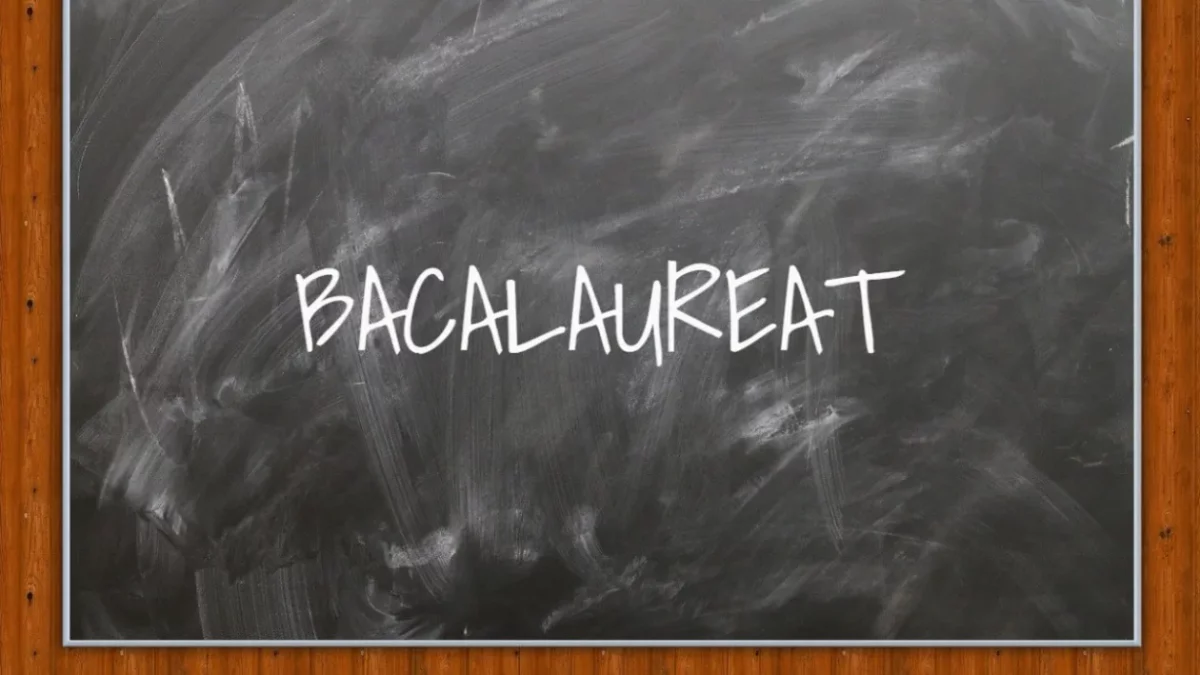 BACALAUREAT 2026 | Perla anului la limba română a fost la subiecte, nu la rezolvări. Ce a apărut scris la Subiectul I
