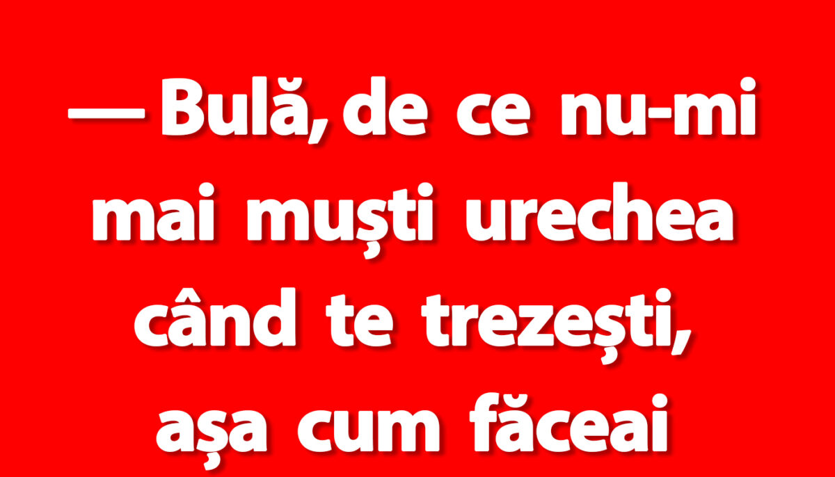 BANC | „Bulă, de ce nu-mi mai muști urechea când te trezești, așa cum făceai când eram tineri?”