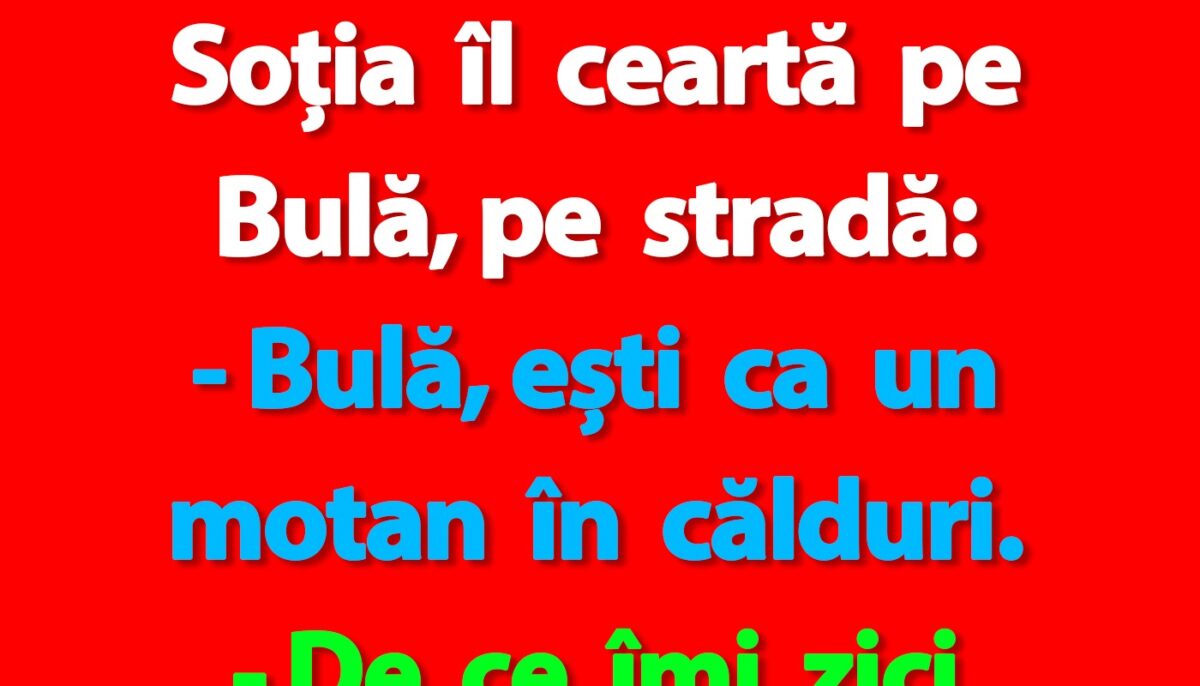 BANC | „Bulă, ești ca un motan în călduri”