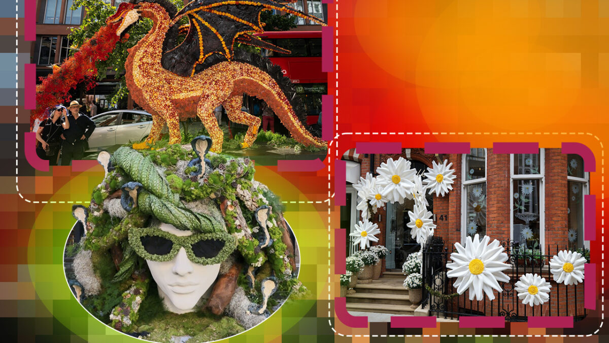 Pare un decor de film SF, dar este real. Orașul european care s-a transformat într-o lume fantastică din flori