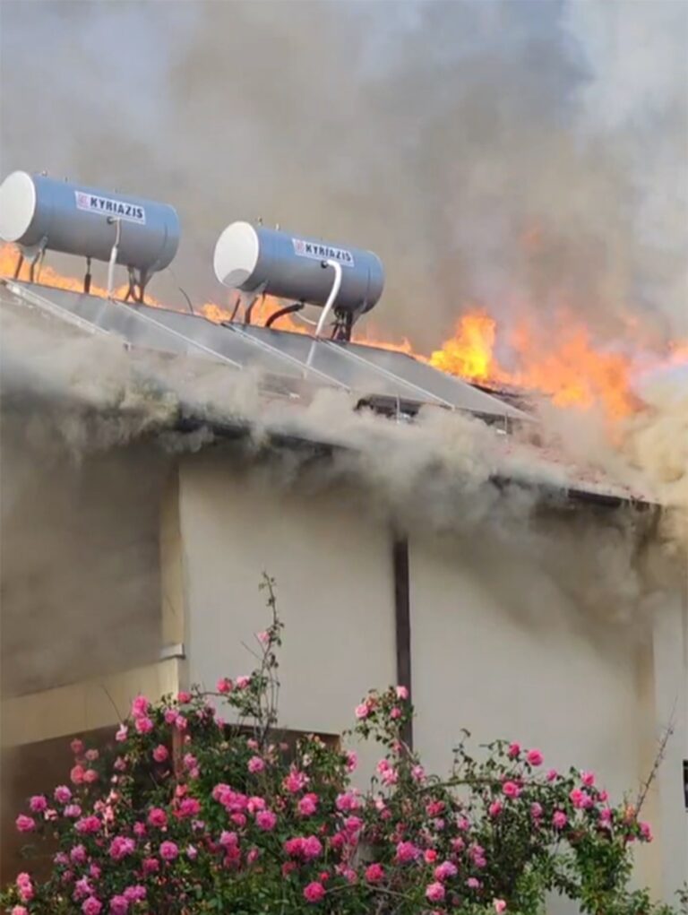 Incendiu devastator în Costinești! Pompierii au intervenit cu trei ...