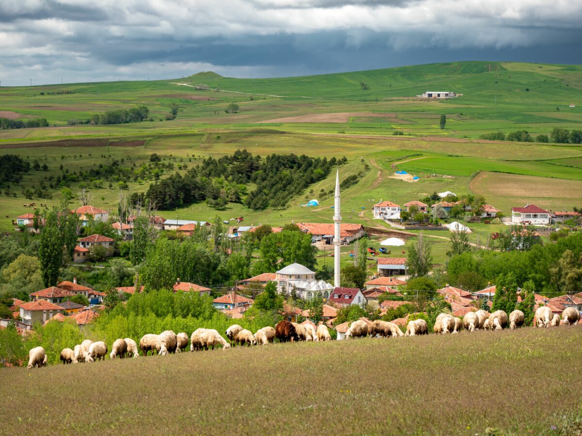 Satul din România unde casele se vând la prețuri incredibil de mici. O proprietate costă sub 10.000 de euro