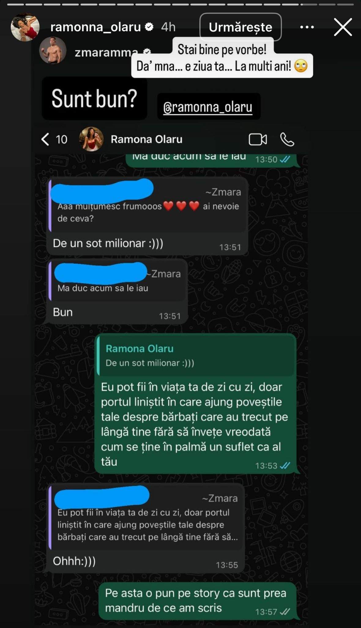 Ramona Olaru, declarație de dragoste/Foto: Instagram