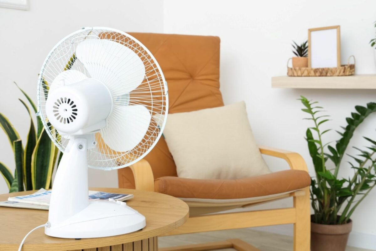 (P) Top 7 modele de ventilatoare care te ajută să faci față temperaturilor ridicate în apartament