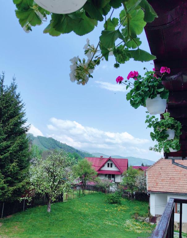 Val de pensiuni scoase la vânzare în Bran-Moieciu. Motivele pentru care proprietarii renunță