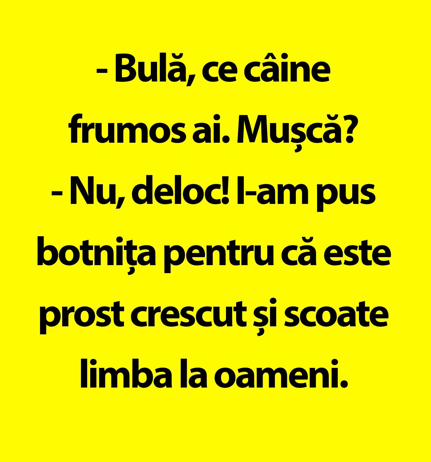 BANC | Câinele lui Bulă
