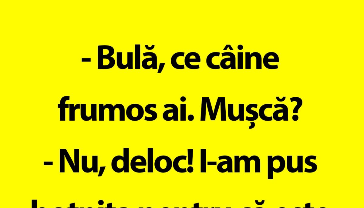 BANC | Câinele lui Bulă