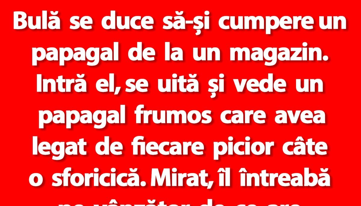 BANC | Bulă se duce să-și cumpere un papagal de la un magazin