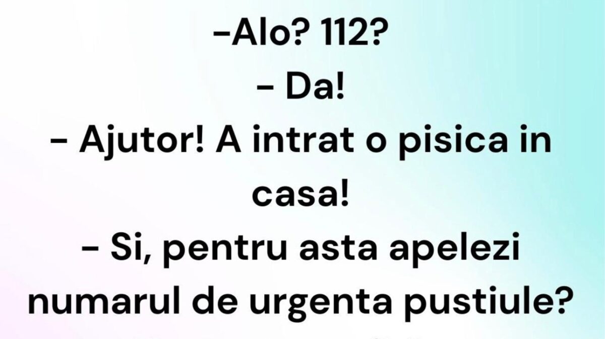 BANCUL ZILEI | „Ajutor! A intrat o pisică în casă”