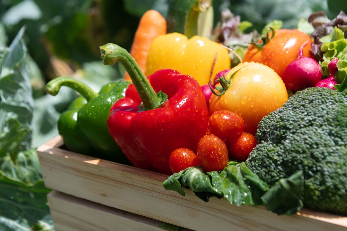 Trucuri simple pentru a mânca mai multe legume fără efort. Metodele recomandate de nutriționiști
