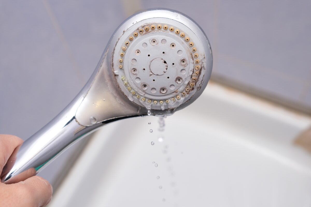 Cât de des ar trebui să cureți para de duș. Greșeala care poate reduce presiunea apei și favoriza acumularea bacteriilor