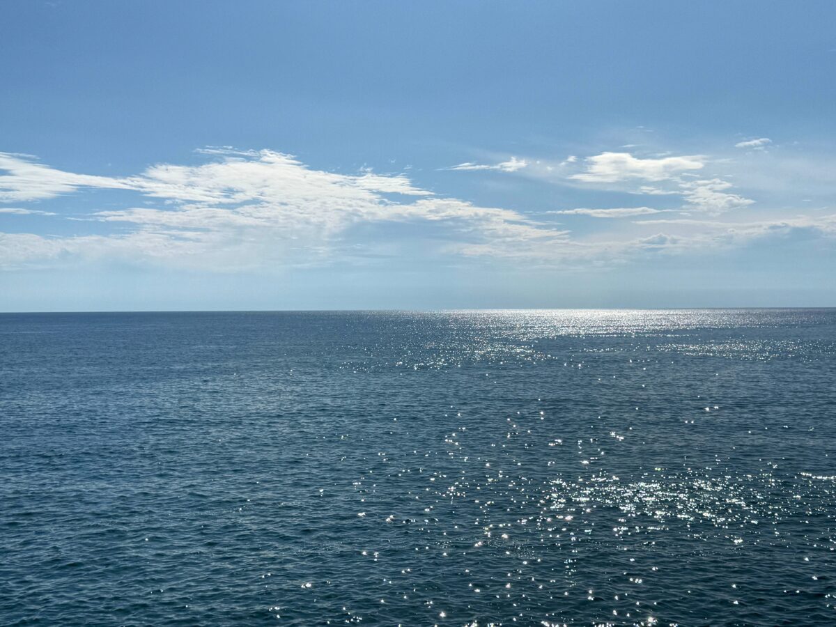 Cum a reușit un bărbat să supraviețuiască în derivă în Oceanul Pacific. Și-a făcut singur apă potabilă cu un truc util