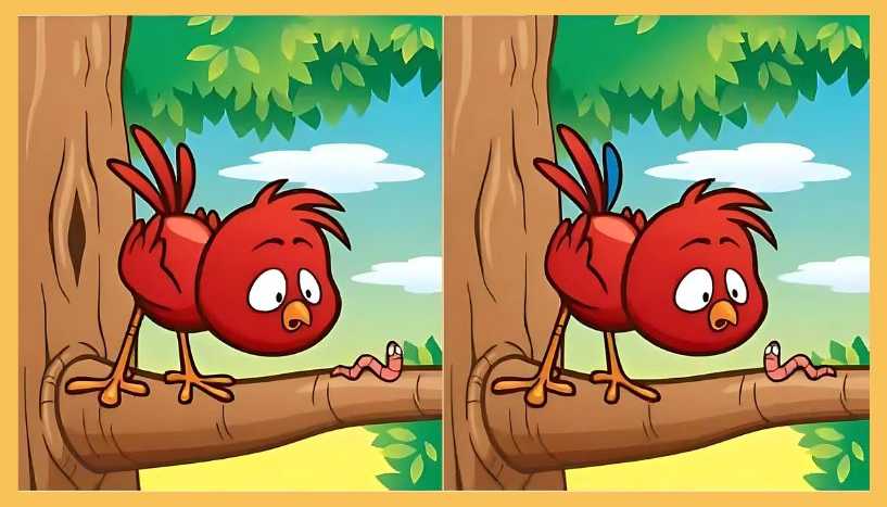 Test IQ | Găsește cele 5 diferențe dintre aceste două imagini. Geniile o fac în 21 de secunde!
