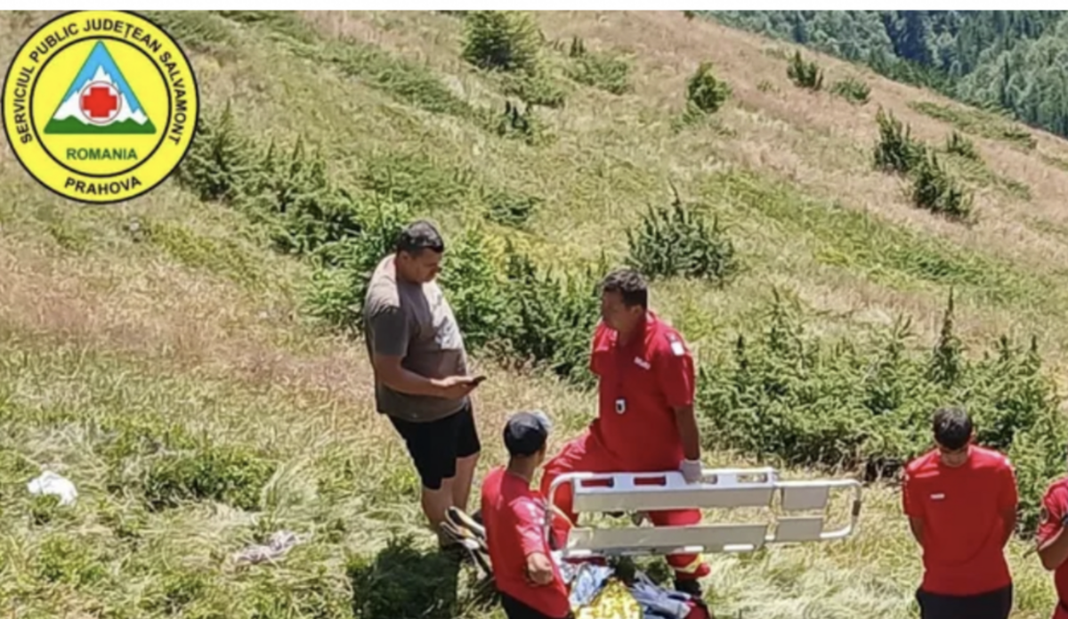 Tragedie în Munții Grohotiș! Un bărbat de 69 de ani a murit în timp ce culegea afine
