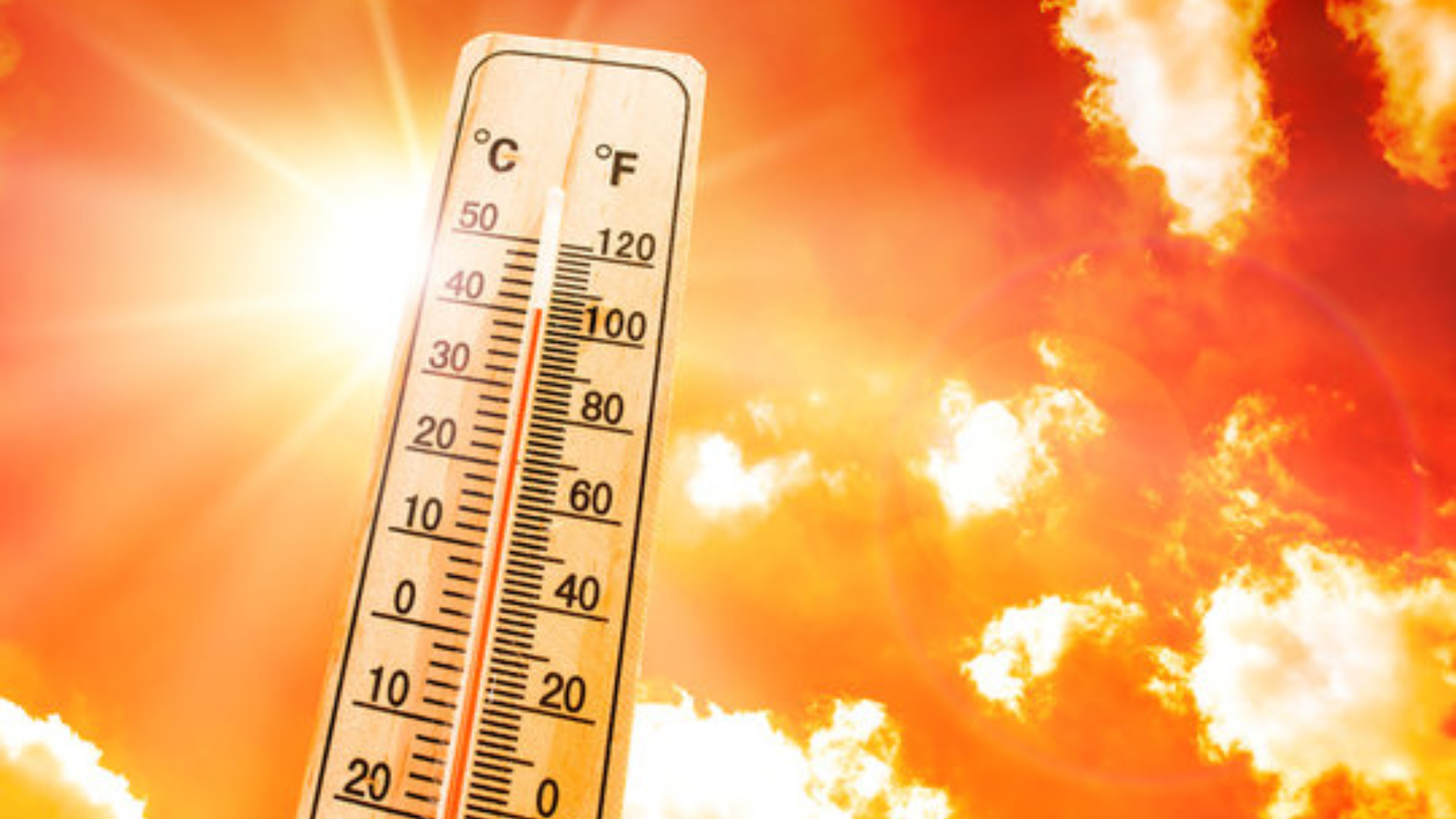 Alertă de caniculă! De mâine, 20 august, temperaturile o iau razna. Urmează trei zile de foc