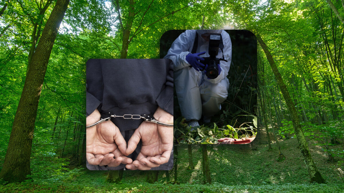 Un bărbat dispărut în urmă cu 4 ani a fost găsit mort într-o pădure. Cine ar fi principalul suspect în cazul crimei