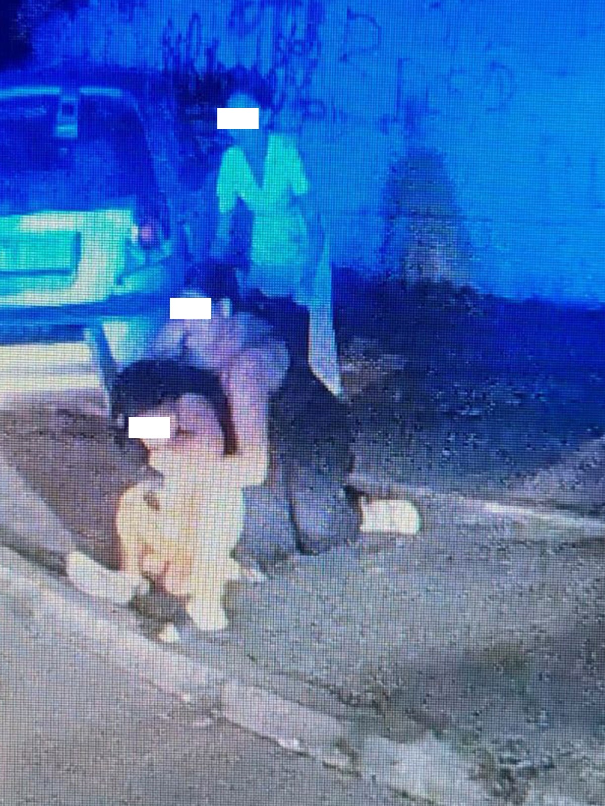 Micuțul ar fi fost agresat fizic de o femeie cunoscută sub numele de „Londra”, fiica lui Sofian. 