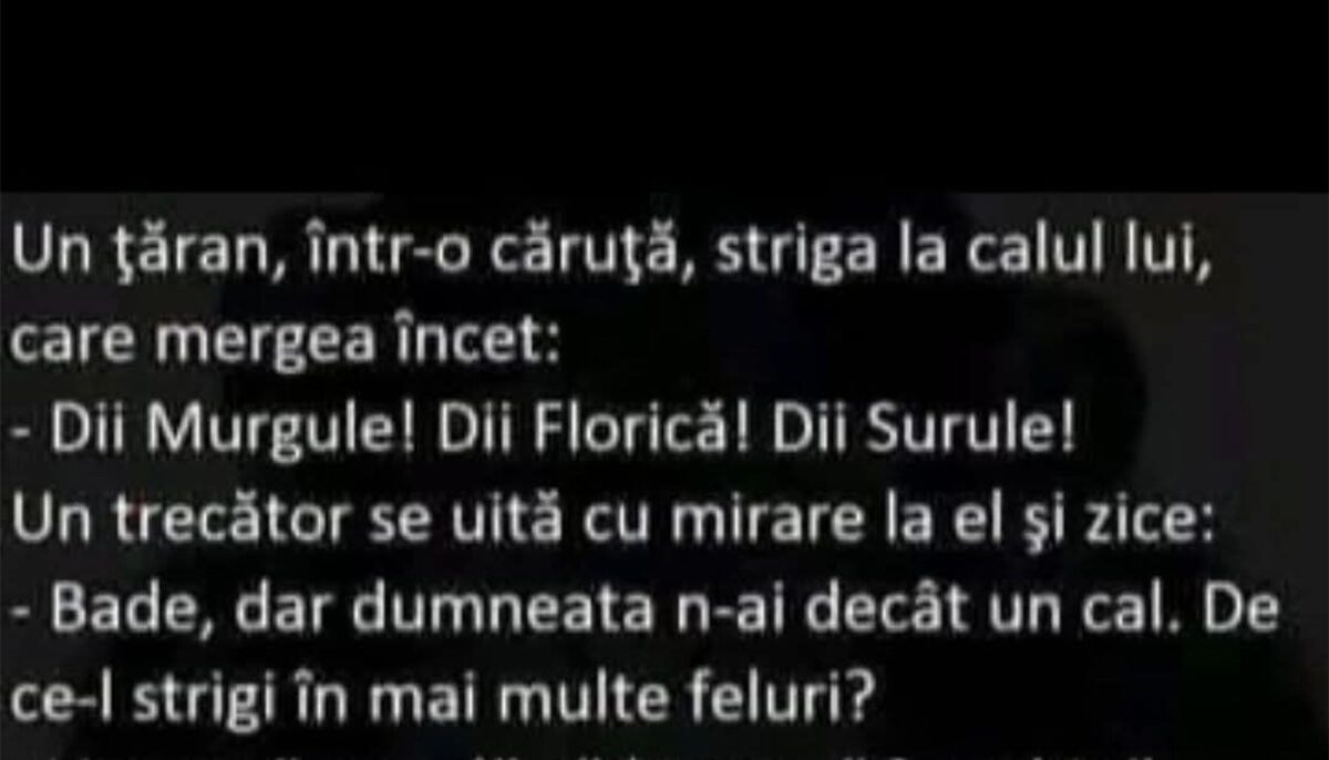 BANCUL ZILEI | „Diii, Murgule! Dii, Florică! Dii, Surule!”