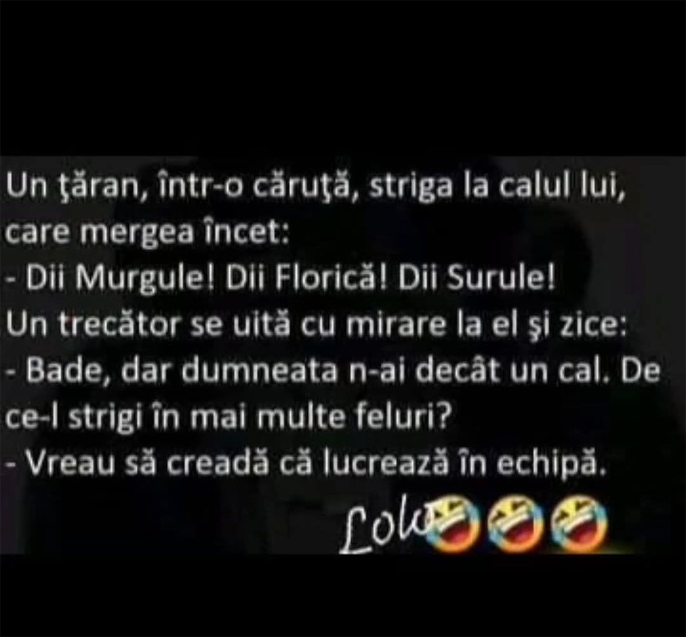 BANCUL ZILEI |