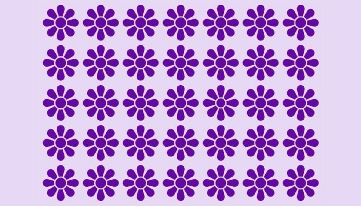 Test de logică | Doar una dintre aceste 35 de flori este diferită de celelalte. Identificați-o!