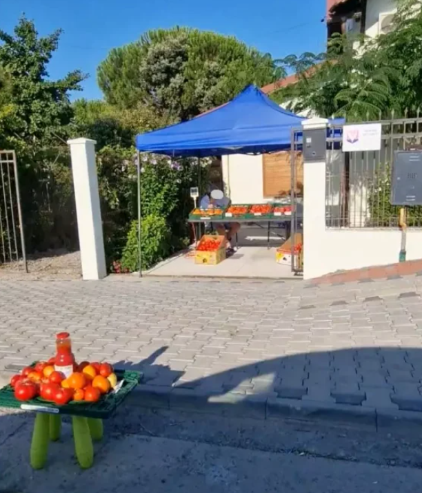 Ce s-a întâmplat cu vila lui Alexandru Arșinel/ sursa foto: Unica