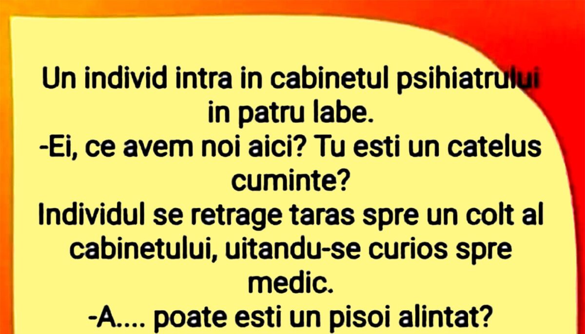 BANC | „Ei, ce avem noi aici? Tu ești un cățeluș cuminte?”