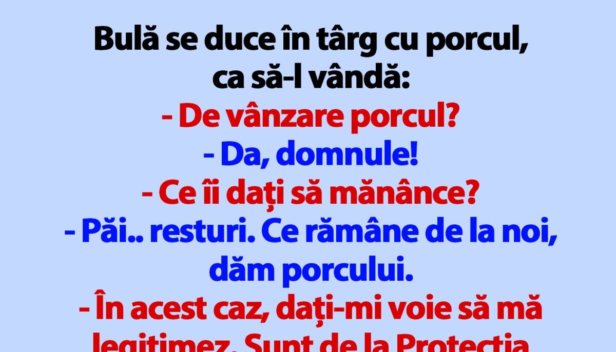 BANC | Bulă se duce în târg cu porcul, ca să-l vândă