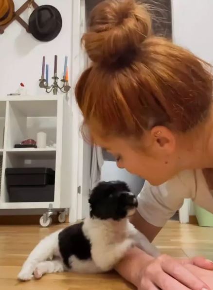 Doina Teodoru a adoptat un câine/ FOTO: Doina Teodoru/Instagram